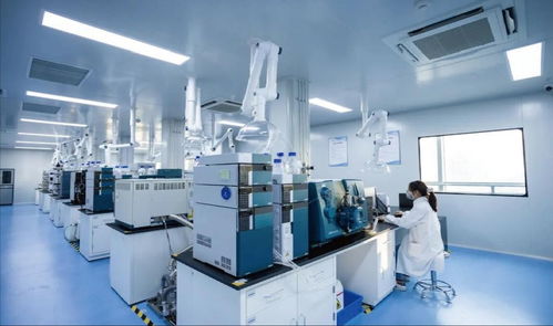 中原科技城 生命科學(xué)產(chǎn)業(yè)新引擎，技術(shù)服務(wù)驅(qū)動(dòng)未來(lái)健康新變革